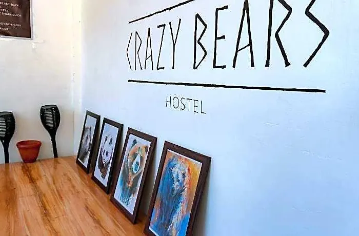 Crazy Bears 2* 세부